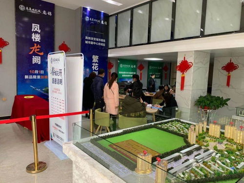 春日集市，套圈赢好礼 二手日用百货的绿色新风尚